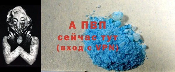 apvp Алзамай