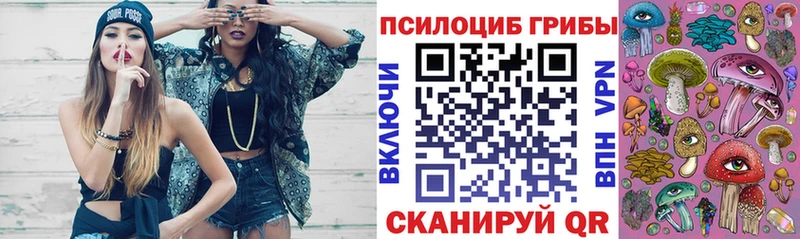 Псилоцибиновые грибы Psilocybine cubensis Еманжелинск